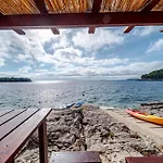 Mario With Pool By Guide Apartman Blato (Korcula)