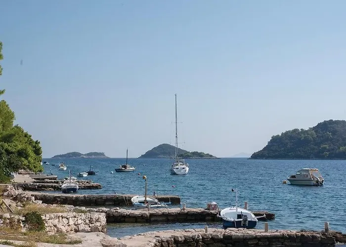 Mario With Pool By Guide *